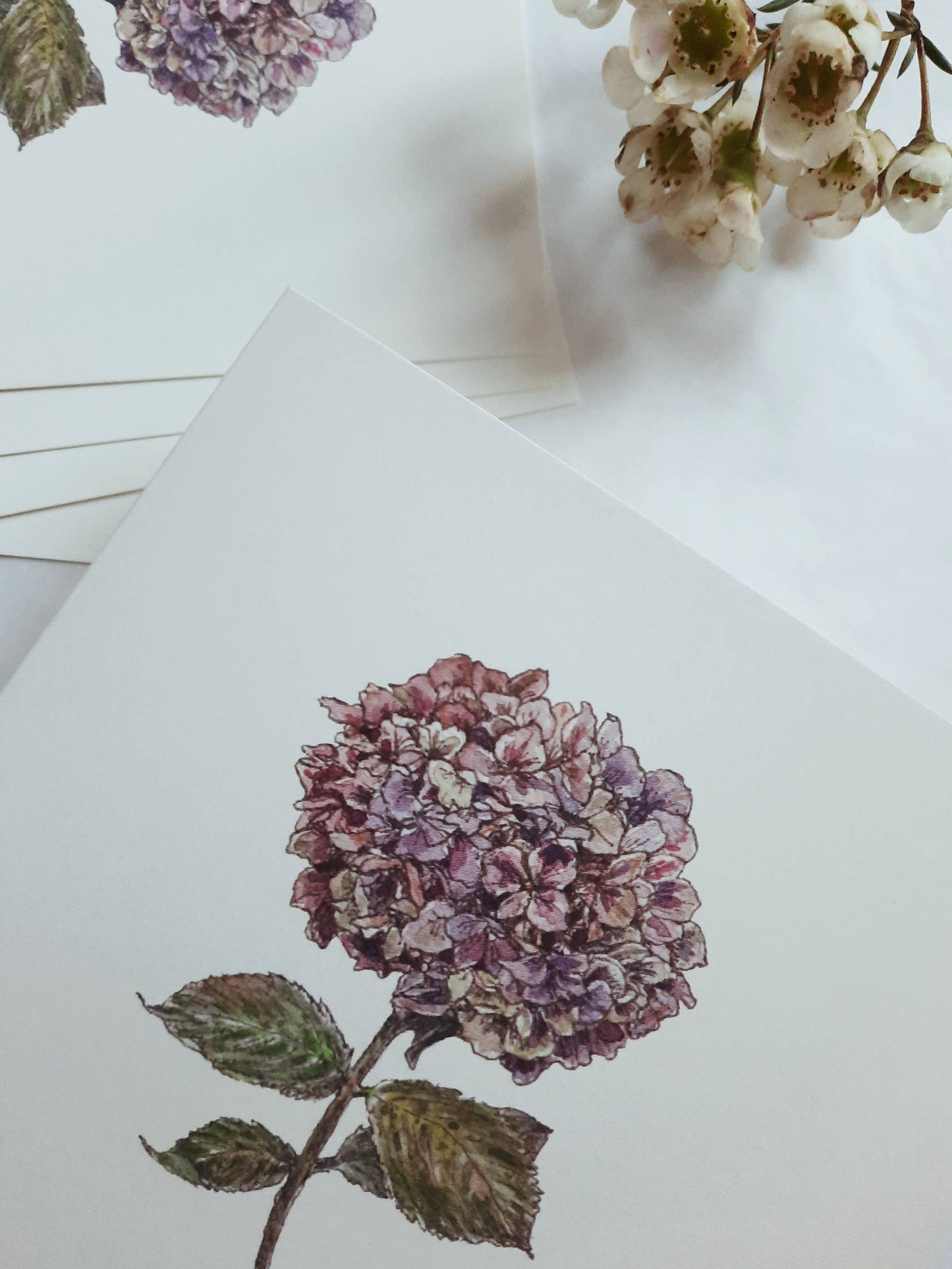 Purple hydrangea Greeting Card
