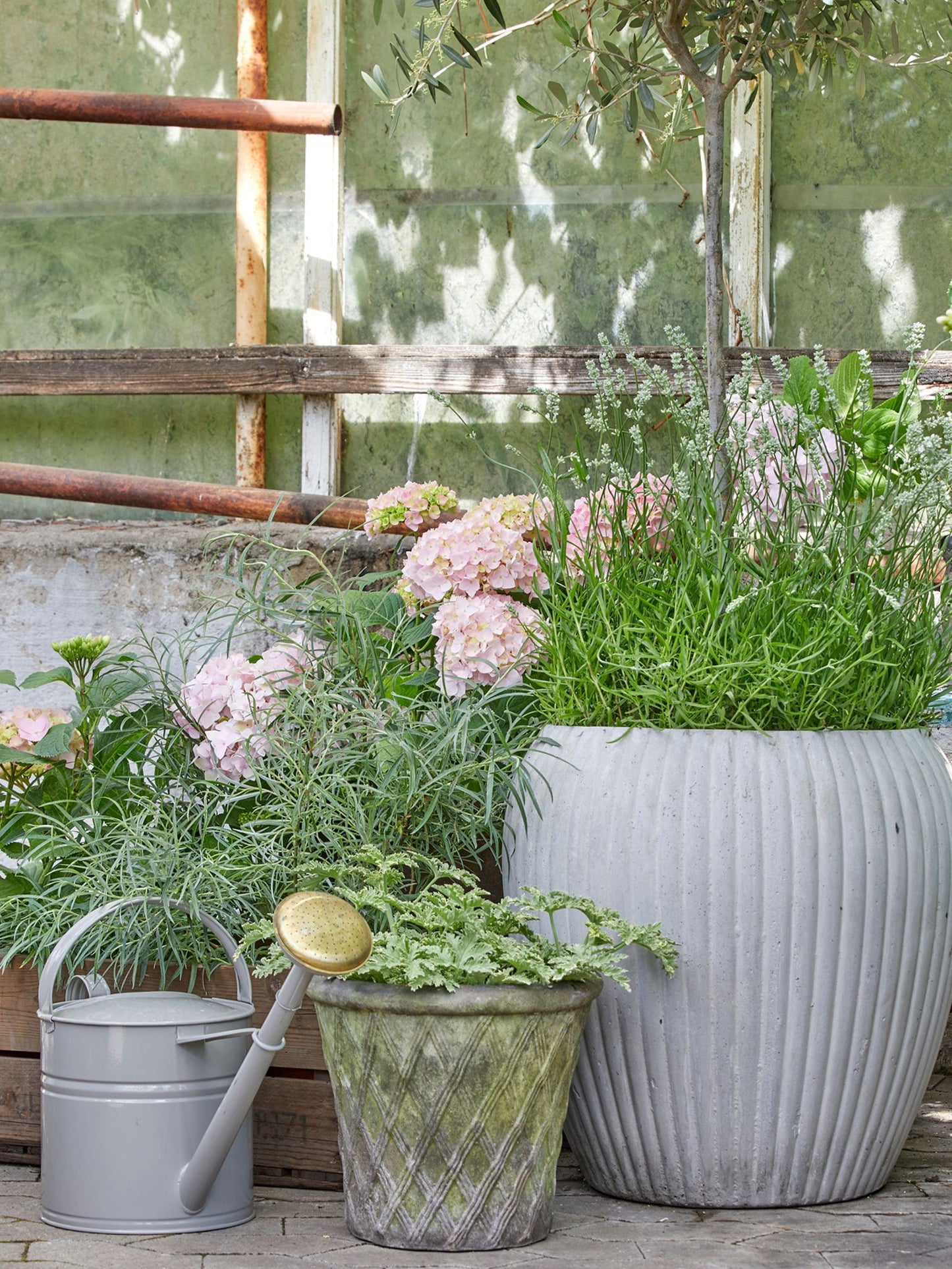 Lattice Pot