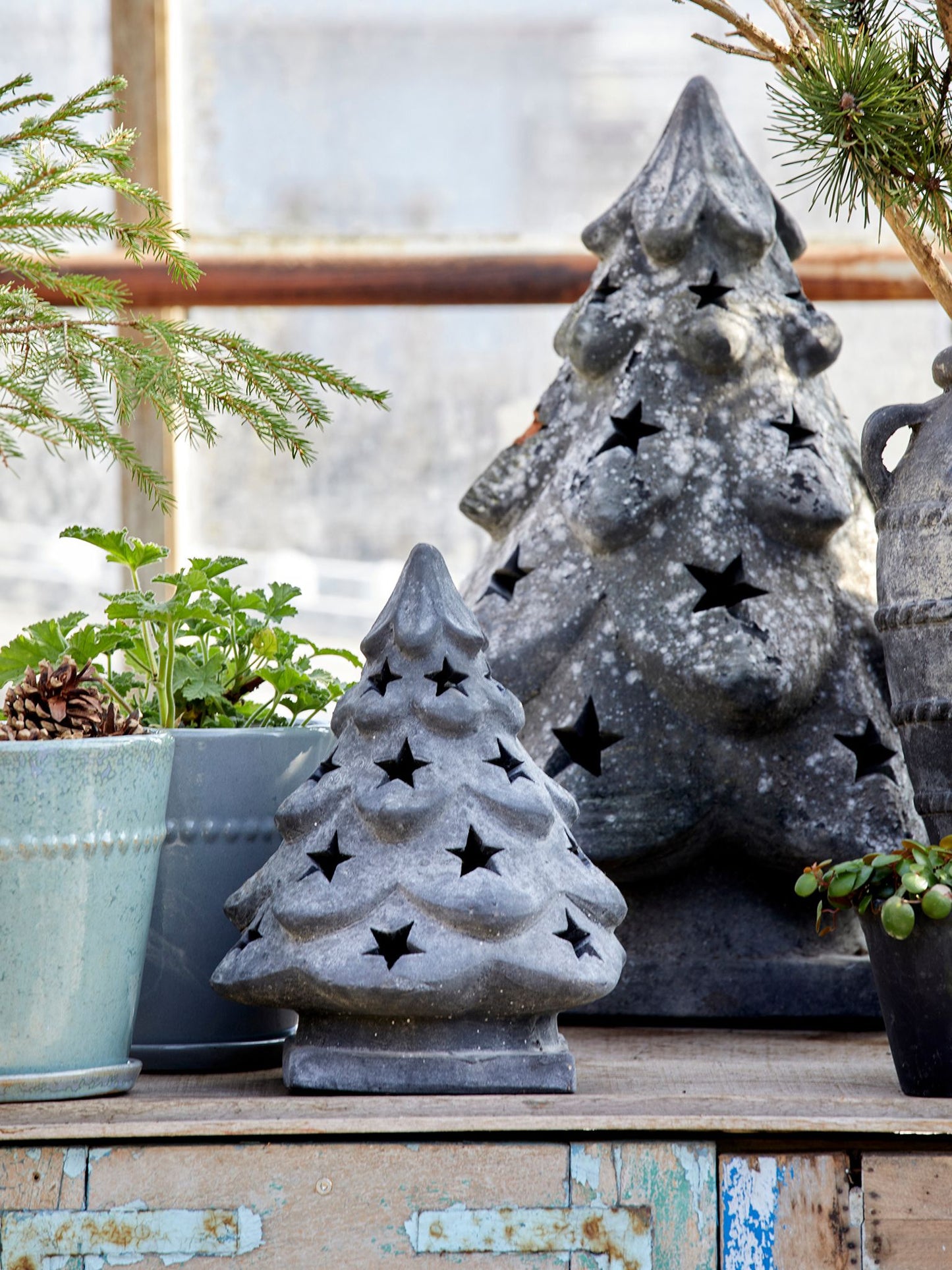 Cement Tree Small
