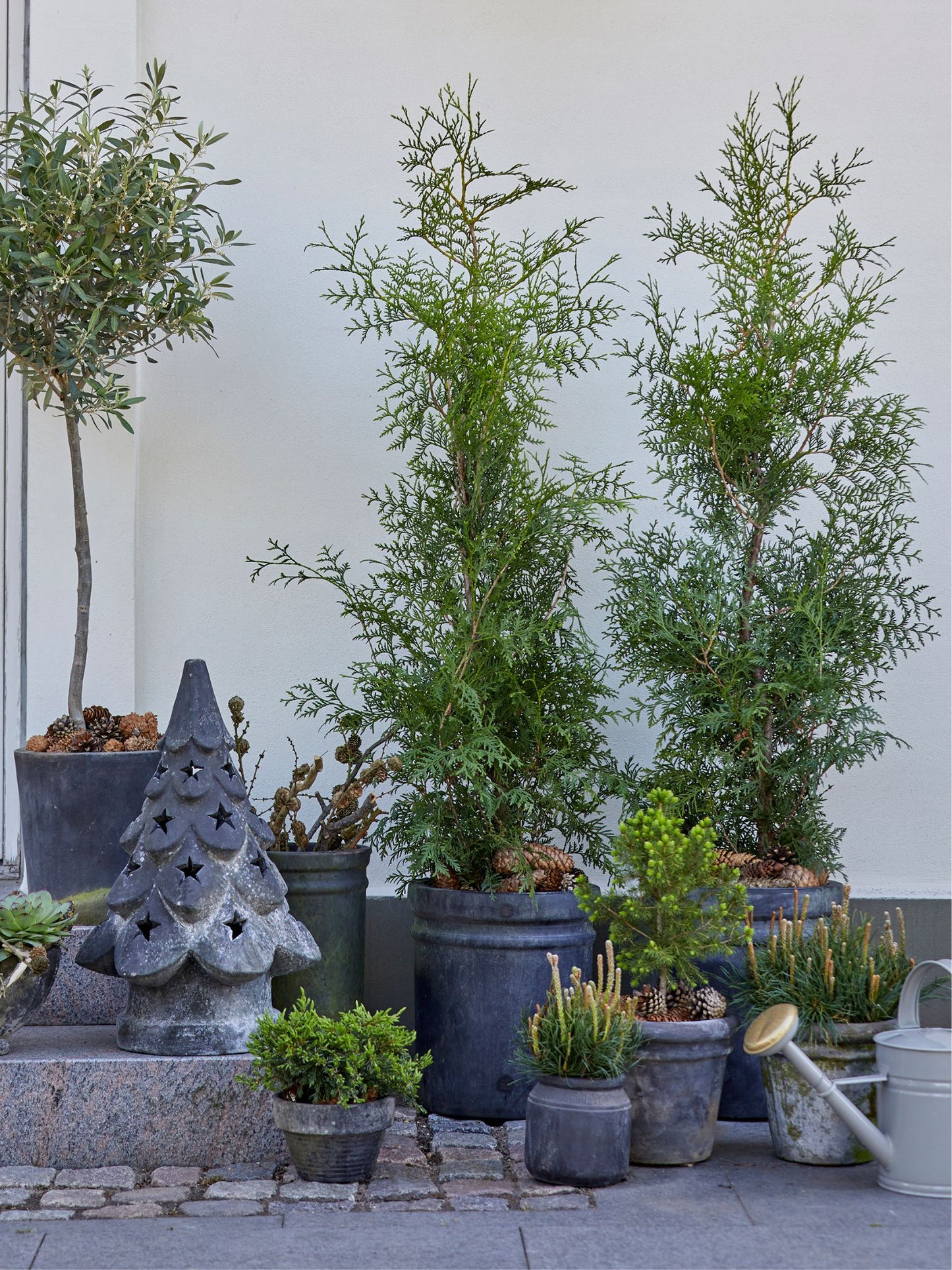 Cement Tree Small