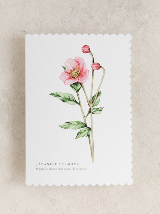 Anemone Watercolour Scalloped Sustainable Greeting Card