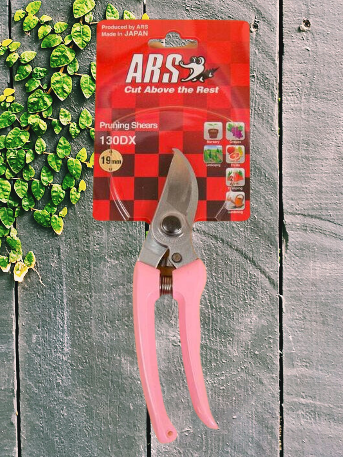 Pruning Shears