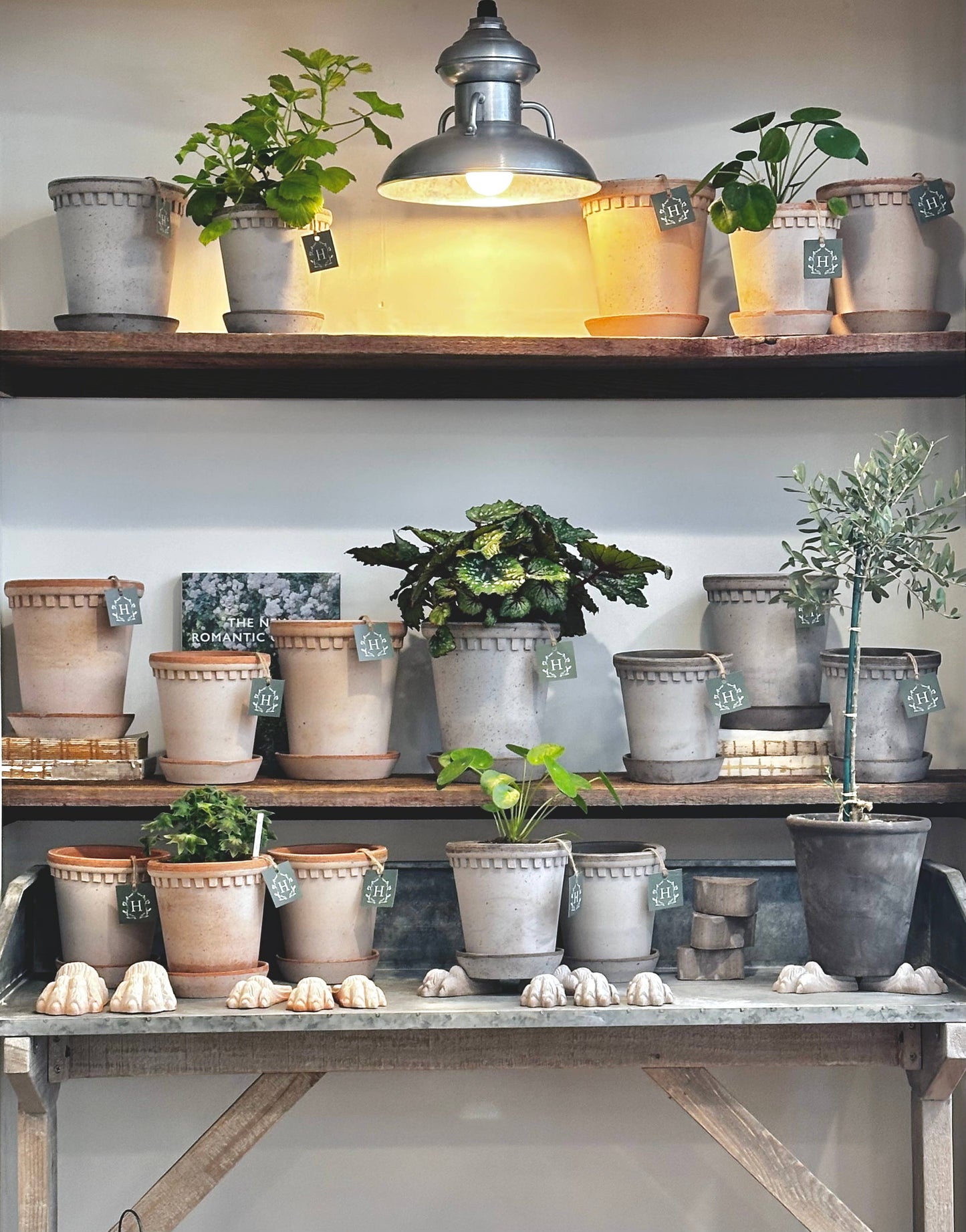 Coventry Terracotta Pot Pale Gray 6"