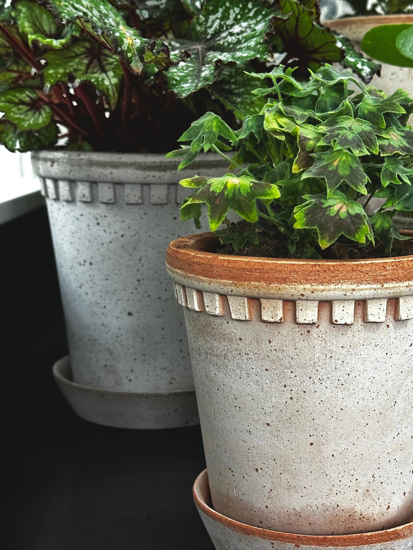 Coventry Terracotta Pot Pale Gray 8"