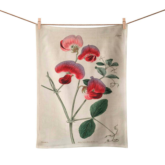 Perennial Sweetpea Tea Towel