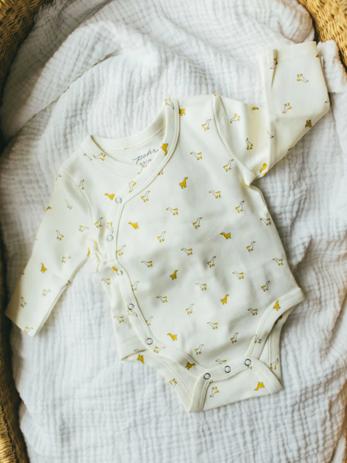 Hatchling Duck Kimono 3-Piece Set