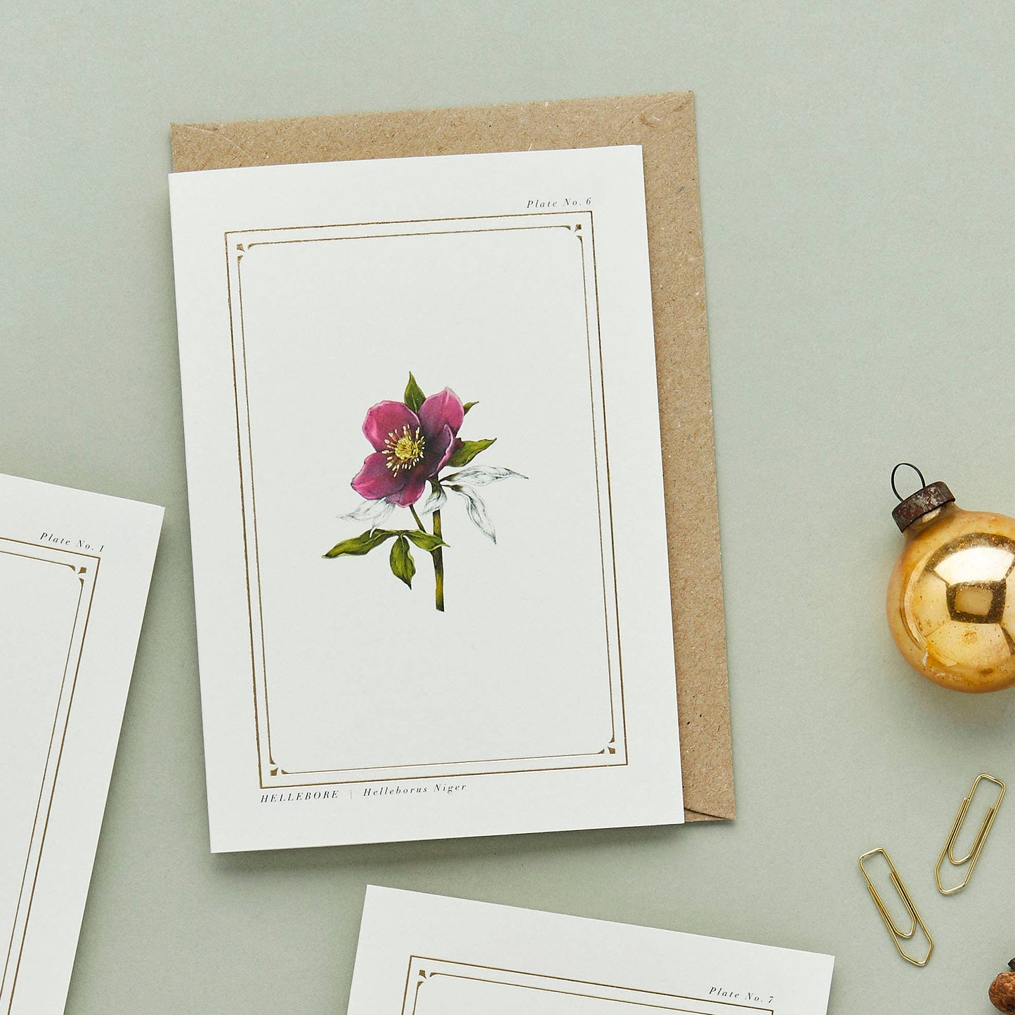 Hellebore - 'The Botanist Archive : Festive Edition' - Card