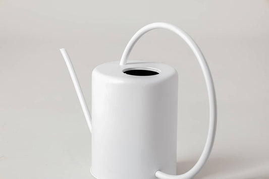 Stainless Steel Watering Can White 2L