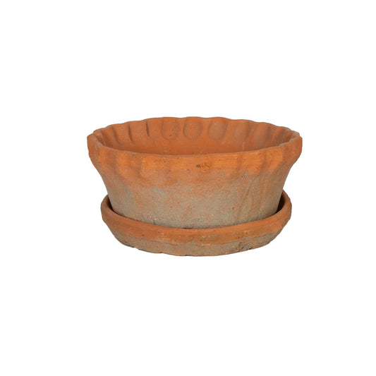 Frilly Edge Terra Cotta Pot with Saucer