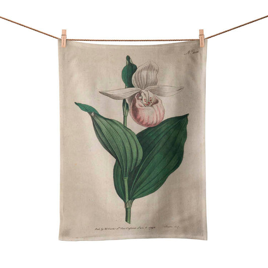 Showy Lady's-slipper Tea Towel