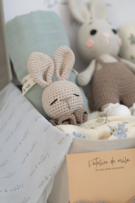Leo the Bunny Gift Set