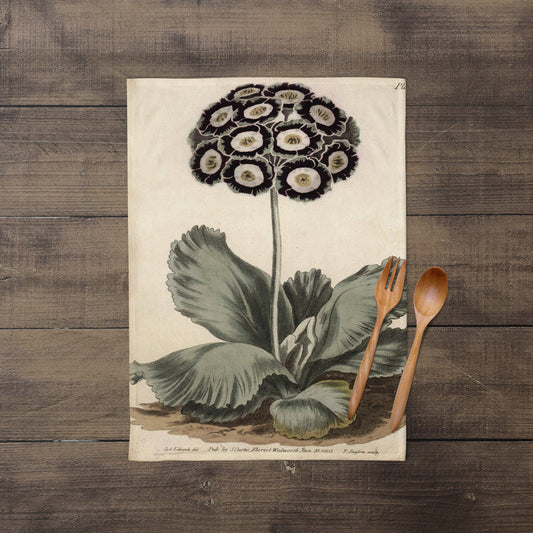 Aricula Tea Towel