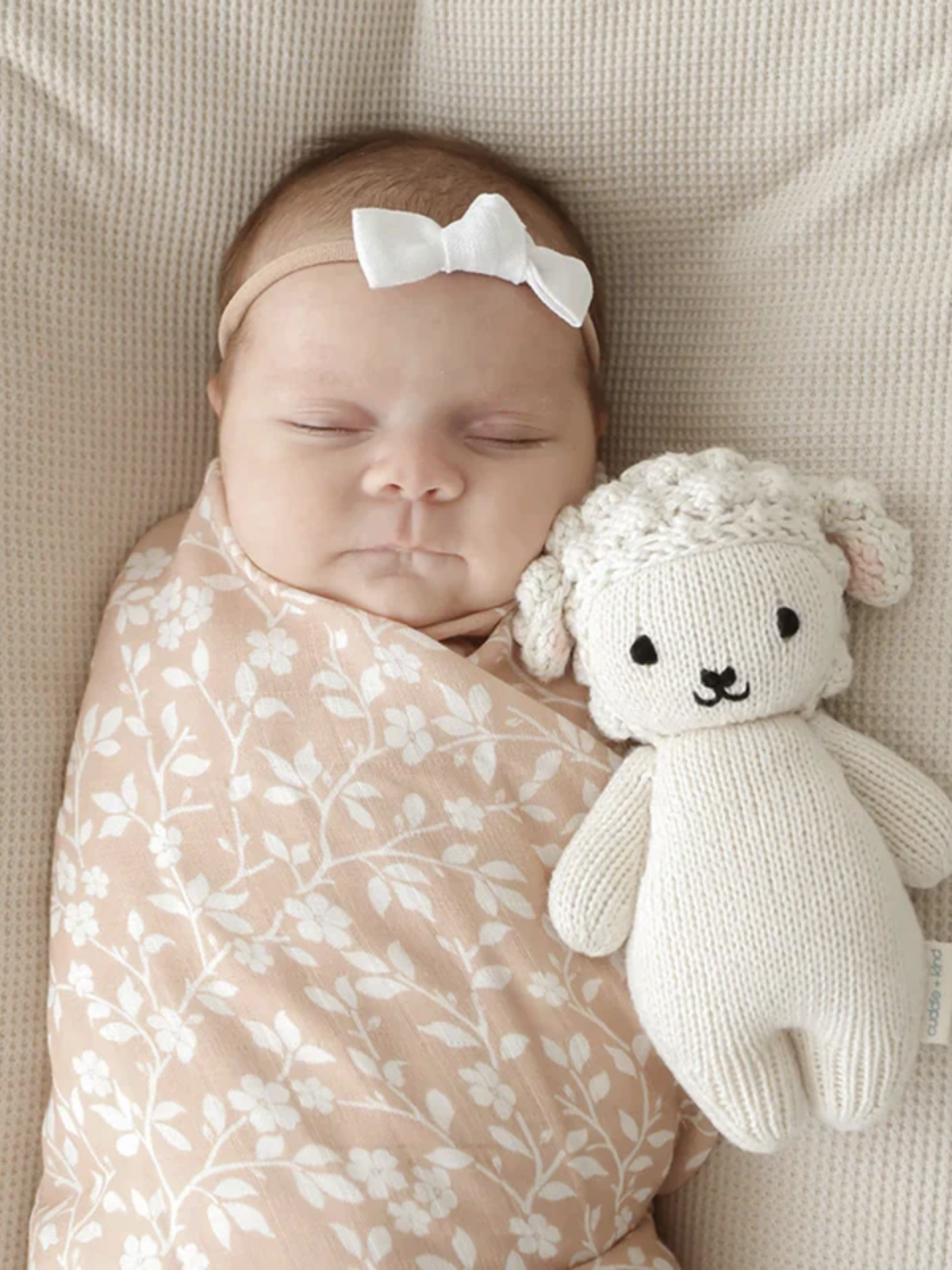 Baby Lamb