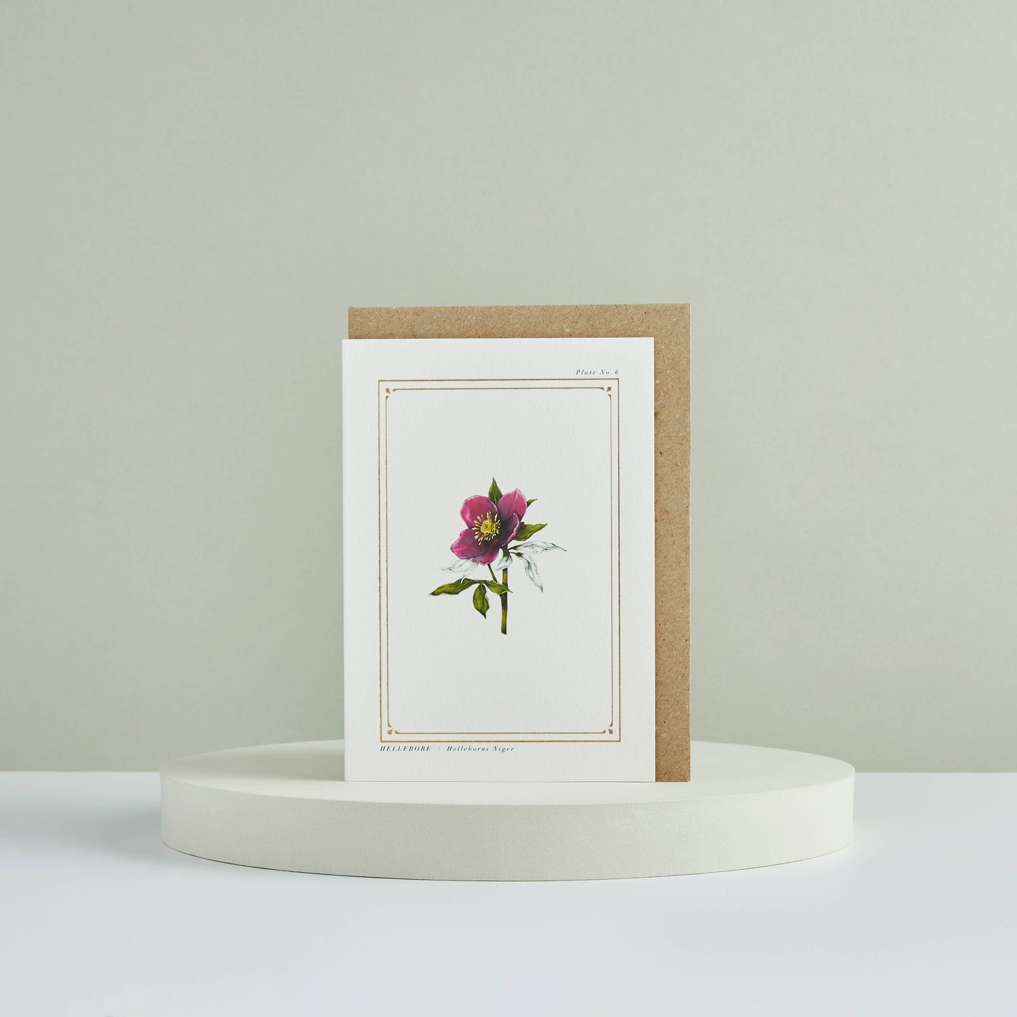 Hellebore - 'The Botanist Archive : Festive Edition' - Card