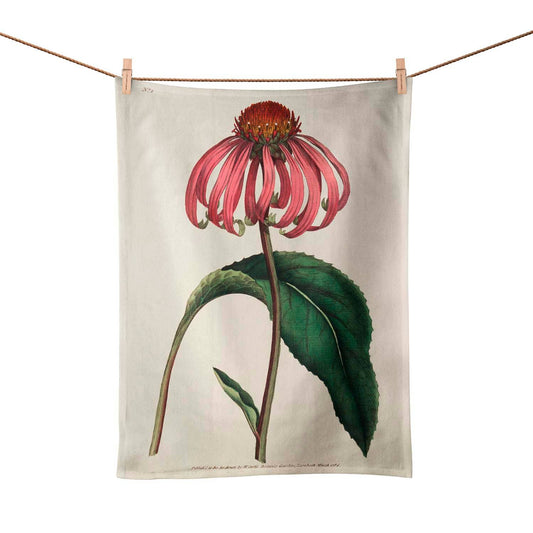 Echineacea Purpurea Tea Towel