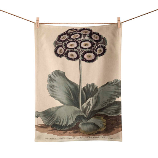 Aricula Tea Towel