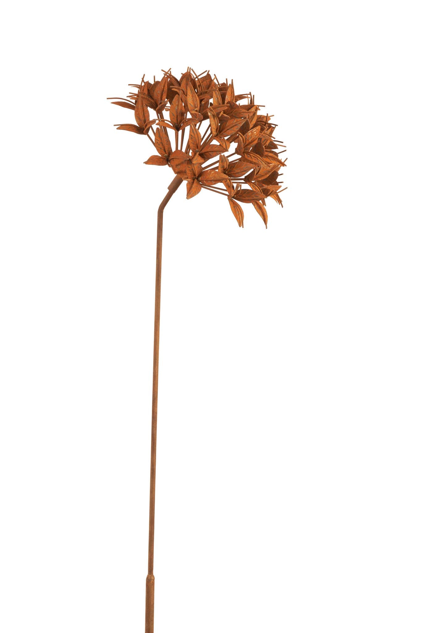 Ixora Flower Stake