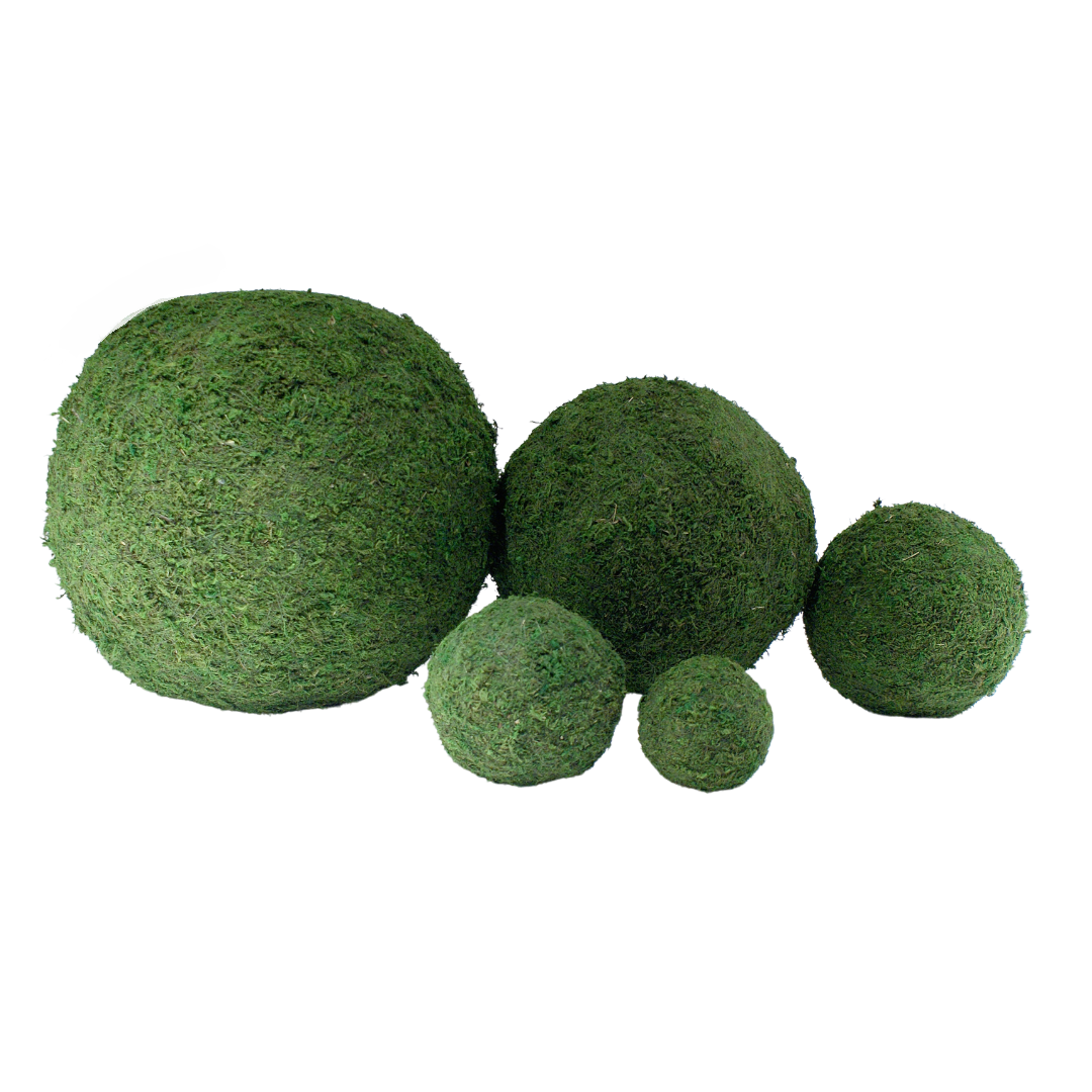 Preserved moss balls