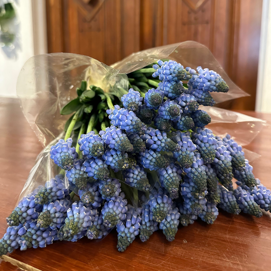 Blooms of the Season Subscription