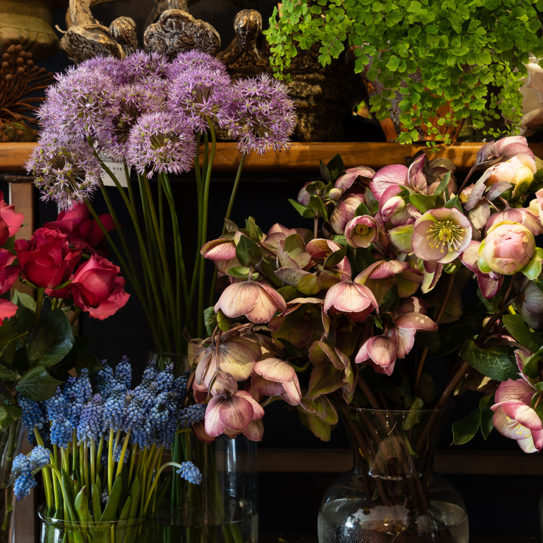 The Atelier Bucket