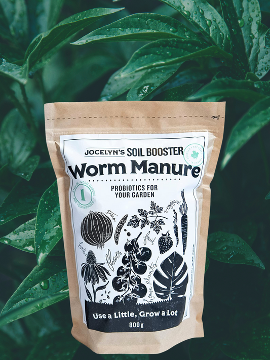 Probiotics for Plants - Worm Manure