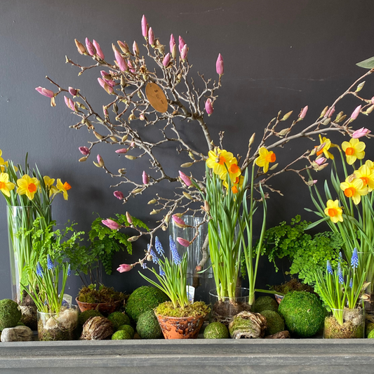 Kids Spring Bulb Planting Workshop