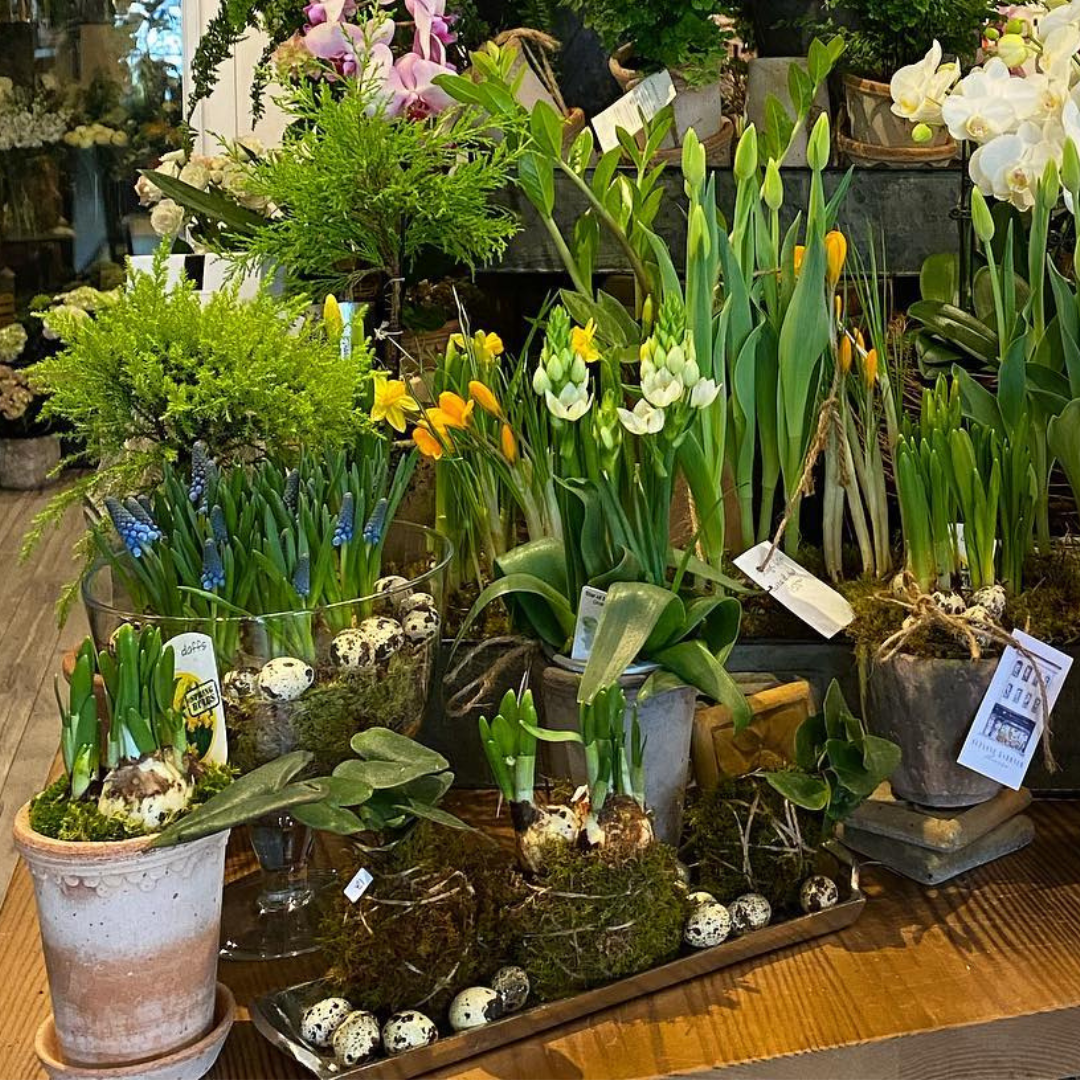 Spring Bulb Workshop
