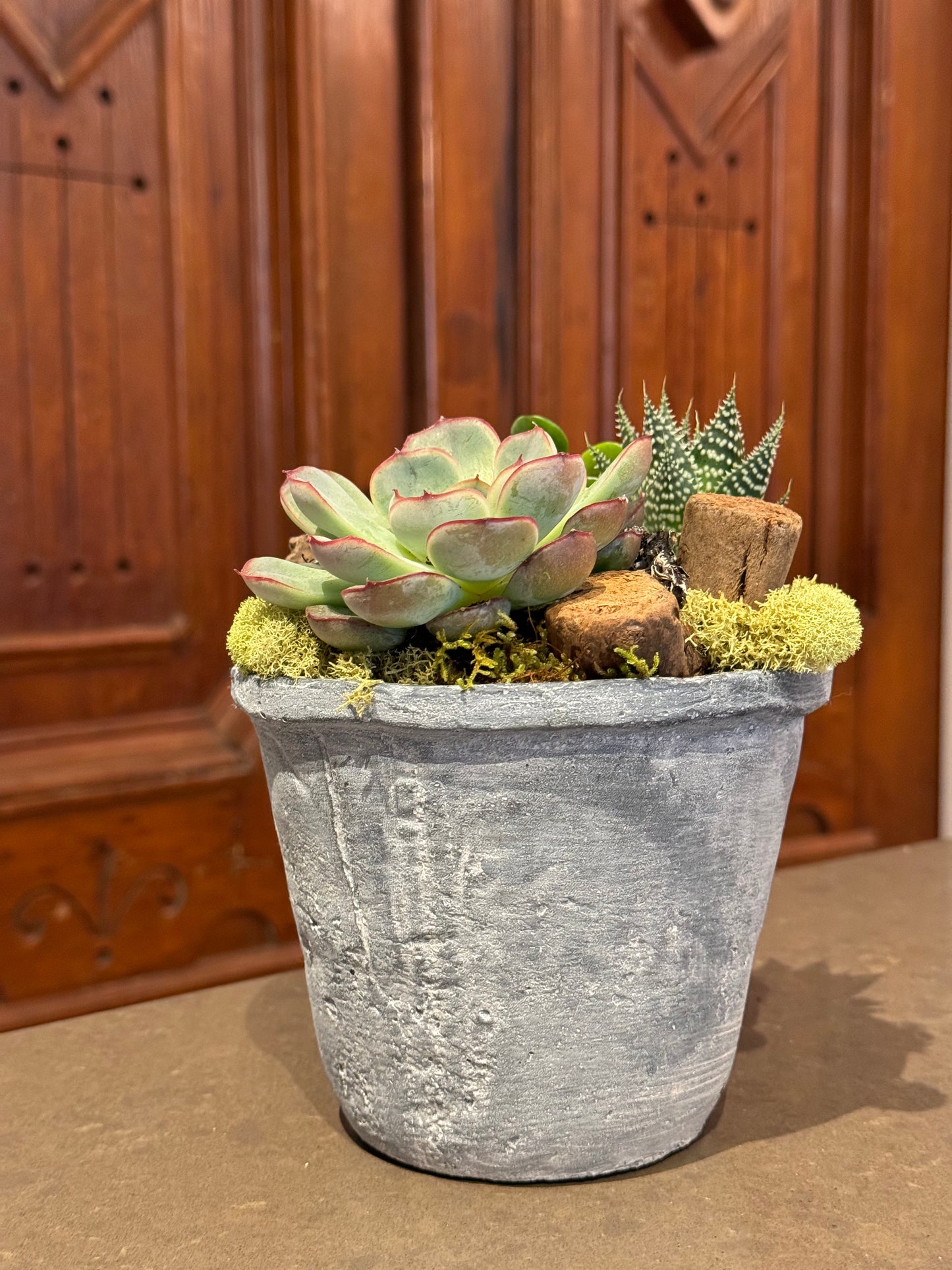 Small Succulent Planter