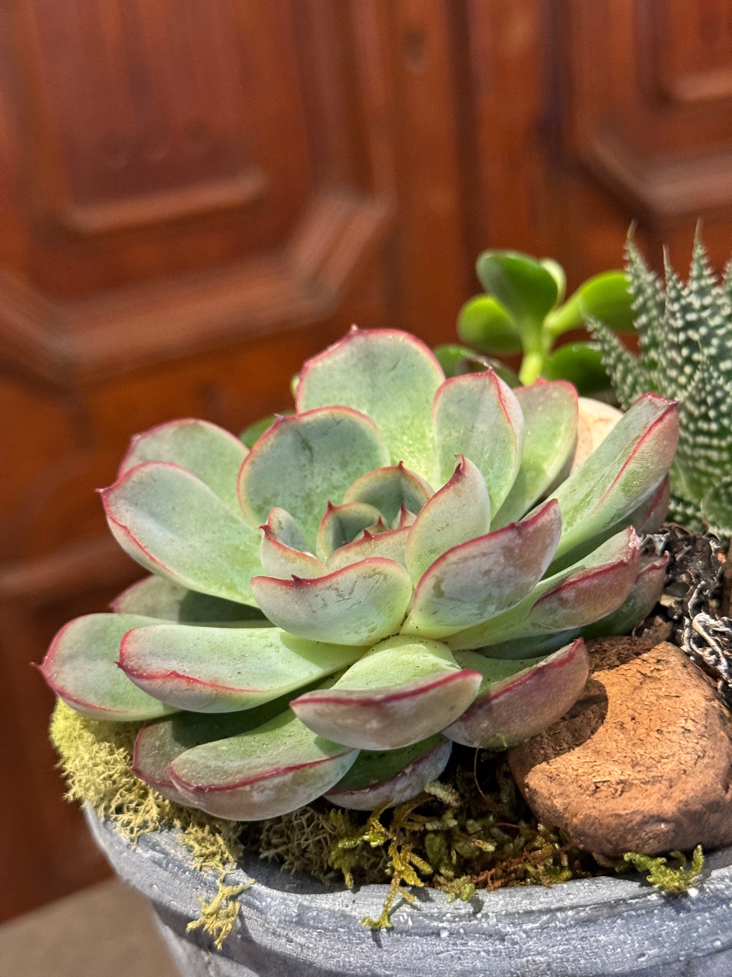 Small Succulent Planter