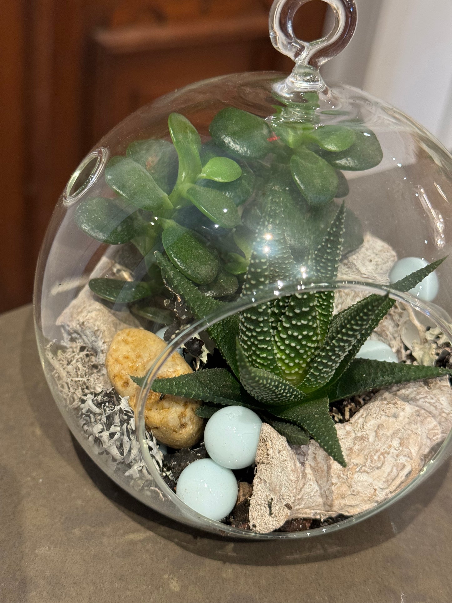 Medium Terrarium