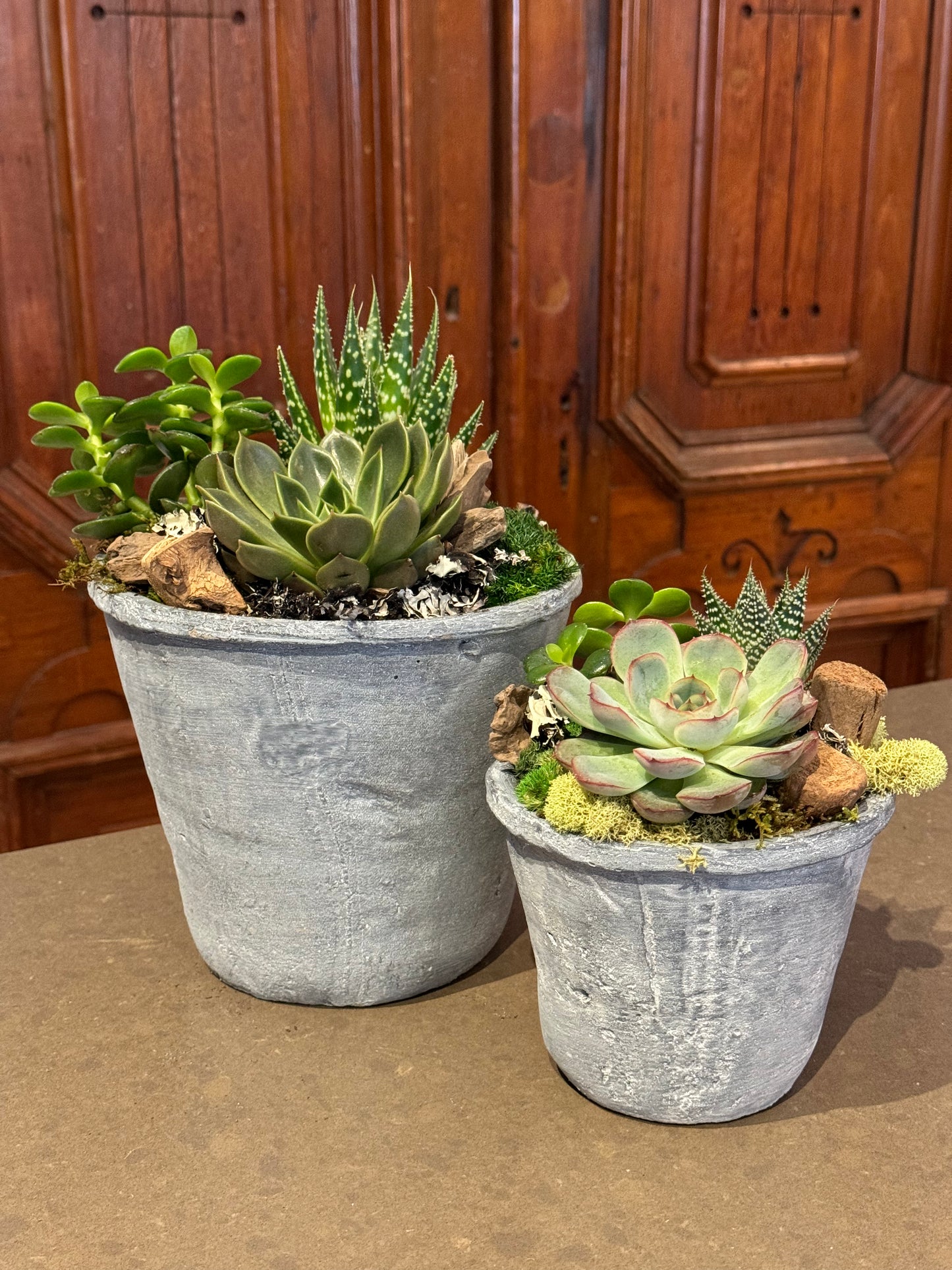Medium Succulent Planter
