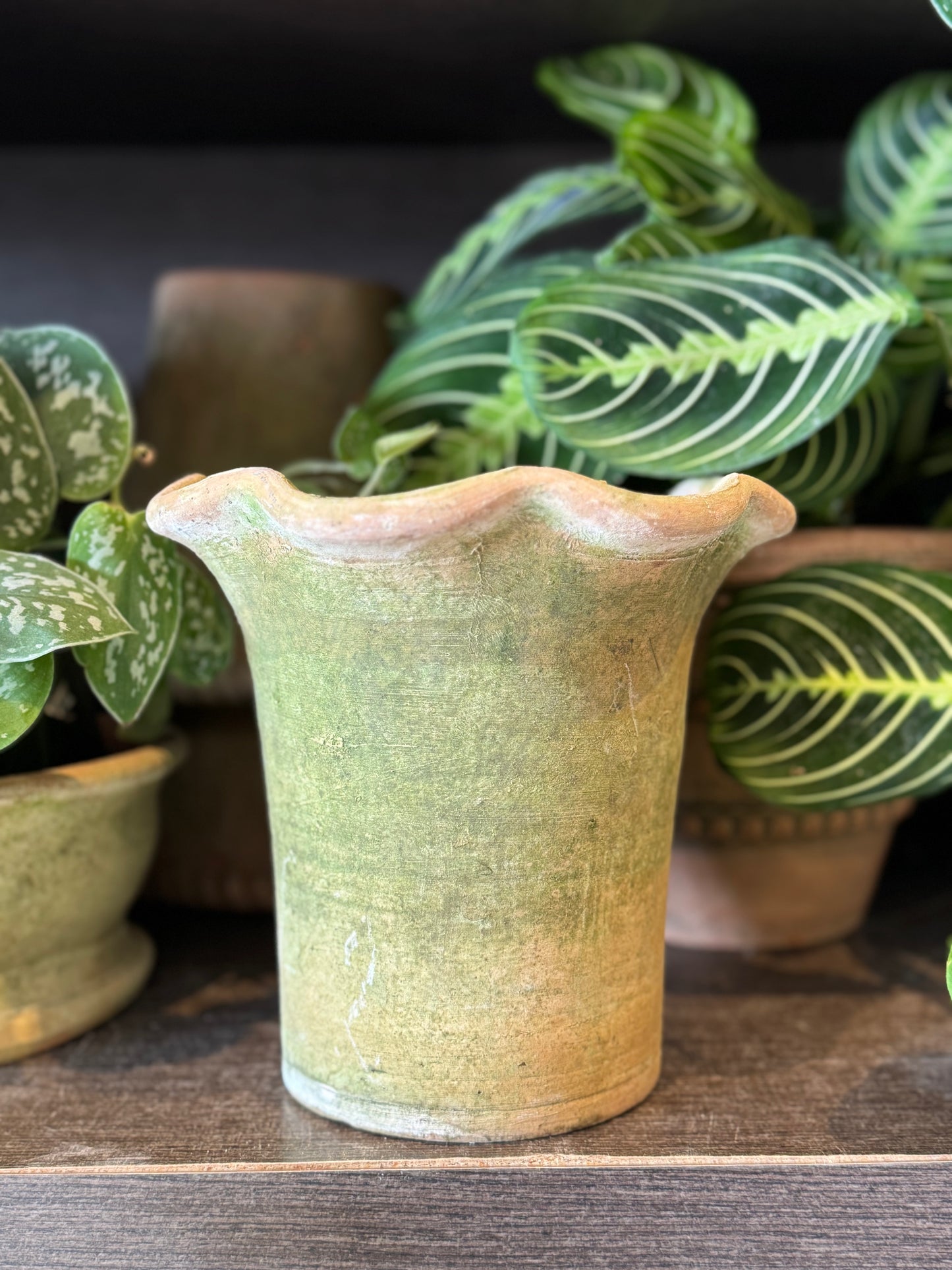 Aged Scallop Planter