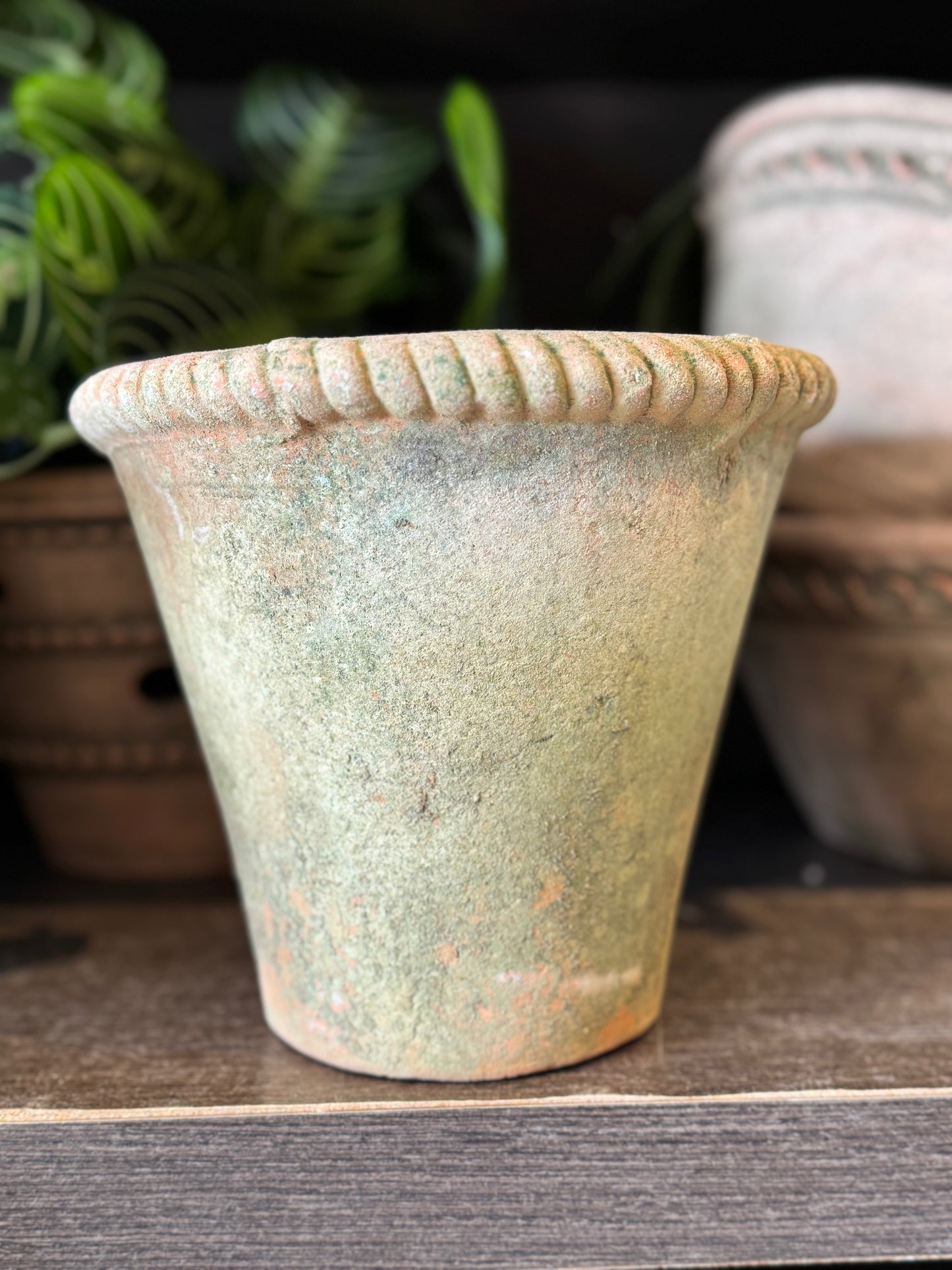 Aged Mecate Planters