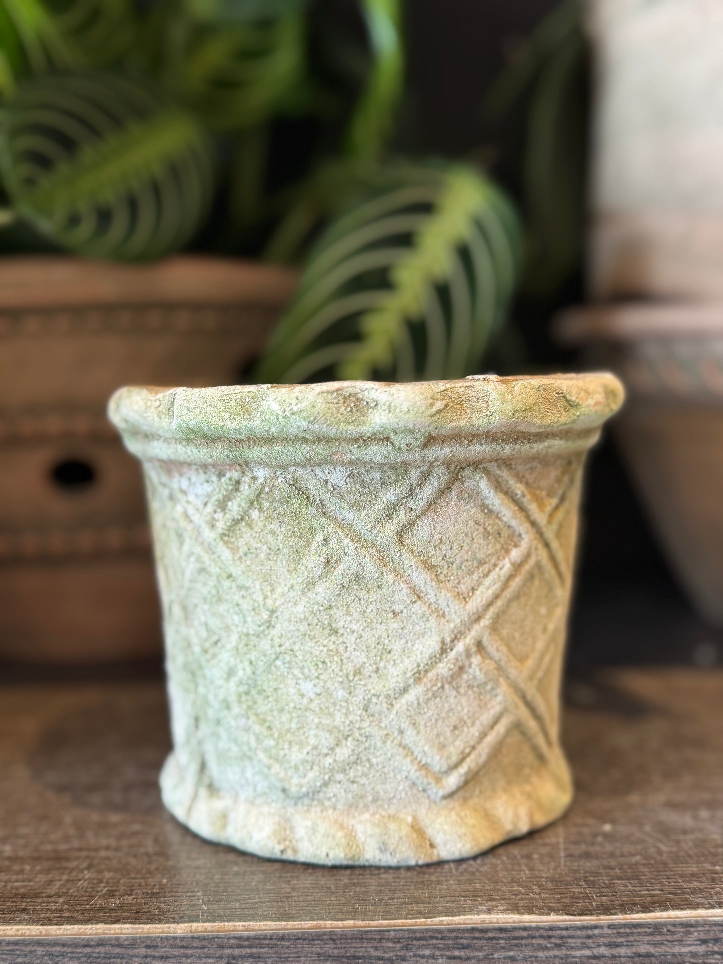 Aged Equi Planter