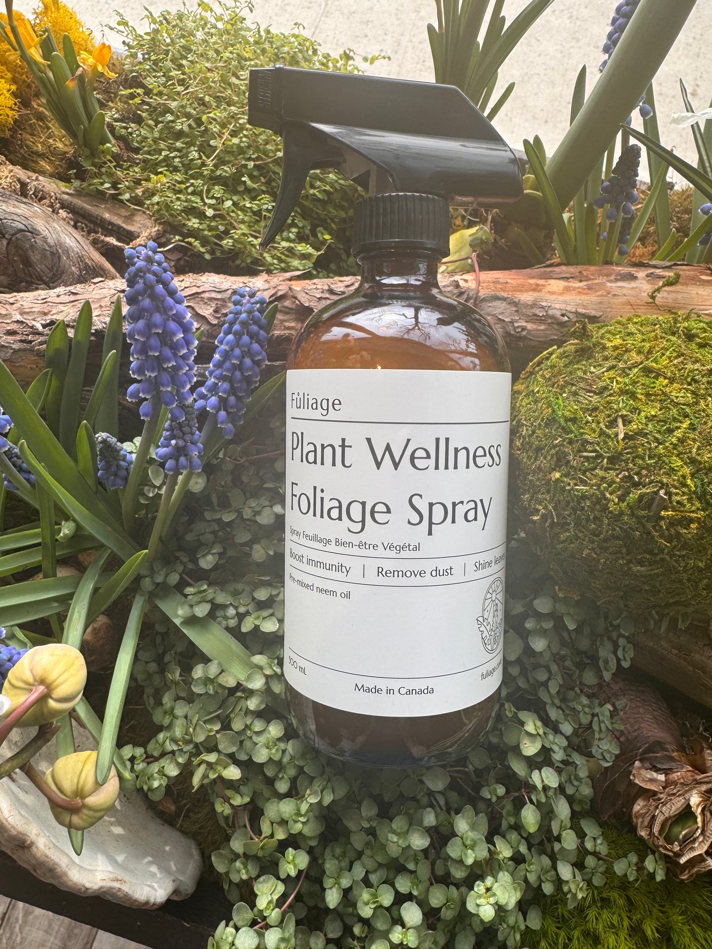Plant Wellness Foliage Spray