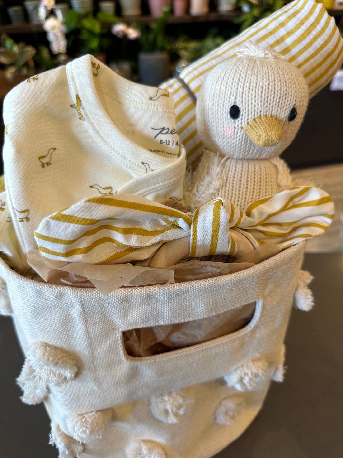 Hatchling Gosling