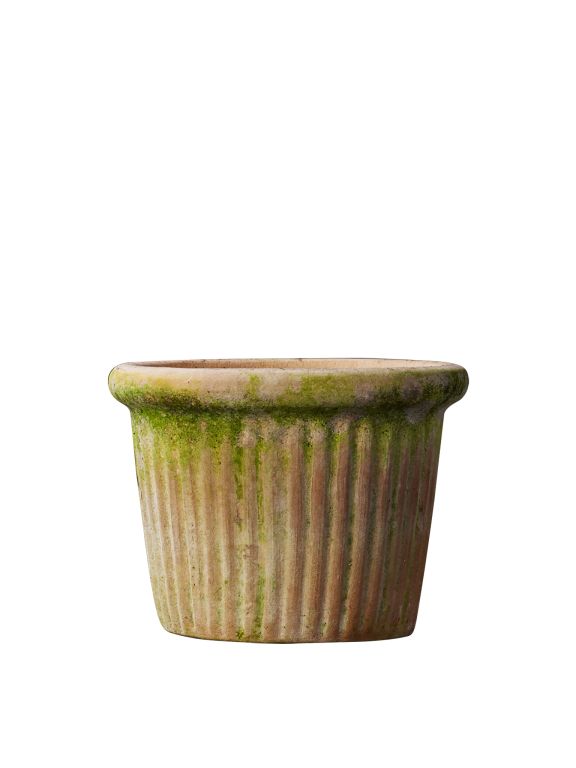 Ribbed Terracotta Pot