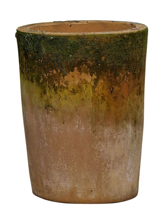 Viola Terracotta Pot