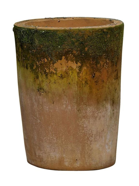 Viola Terracotta Pot