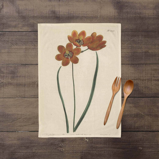 Orange Monadelpha Tea Towel