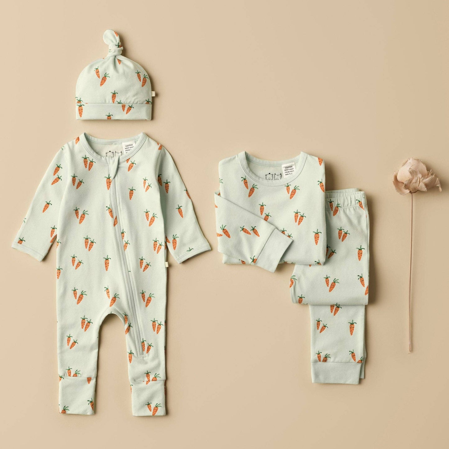 Cute Carrots Organic Zipsuit With Feet