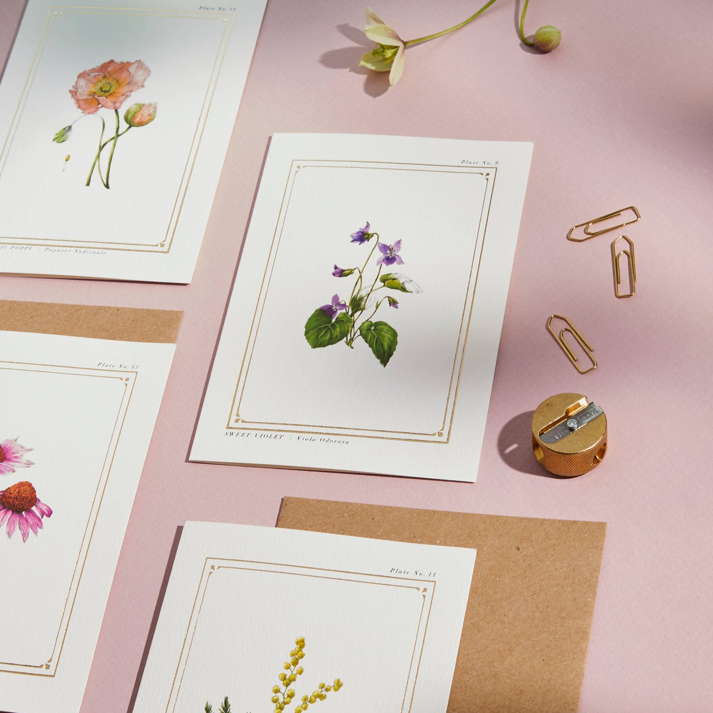 Sweet Violet - 'Botanist Archive : Everyday Edition' - Card