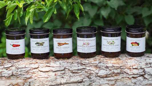 Wild Honey Gift Set: Julbernardia Blossom Honey + Cinnamon & Honey