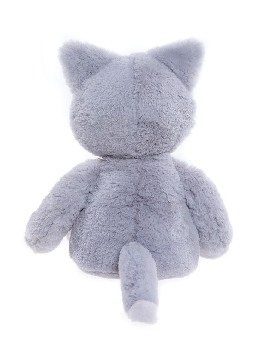 Puddy The Kitten