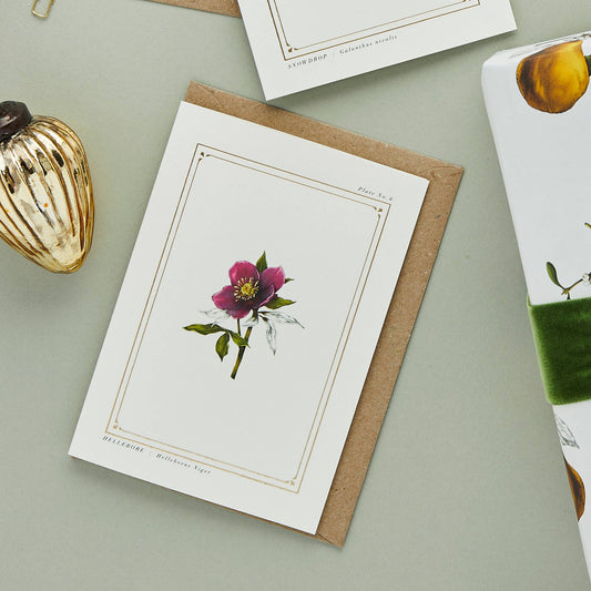 Hellebore Greeting Card