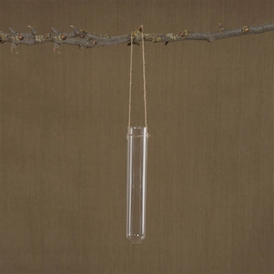 Hanging Glass Tube Vase Small
