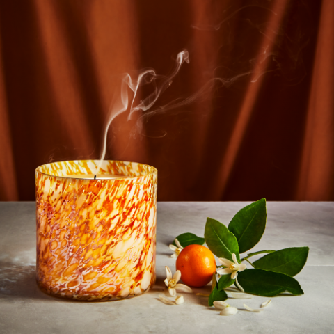 Orange Blossom Absolute Candle