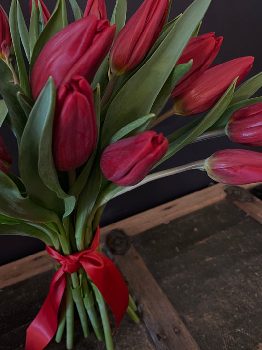 Valentine's Red Tulip Special - PREORDER FOR FEBRUARY 14TH ONLY