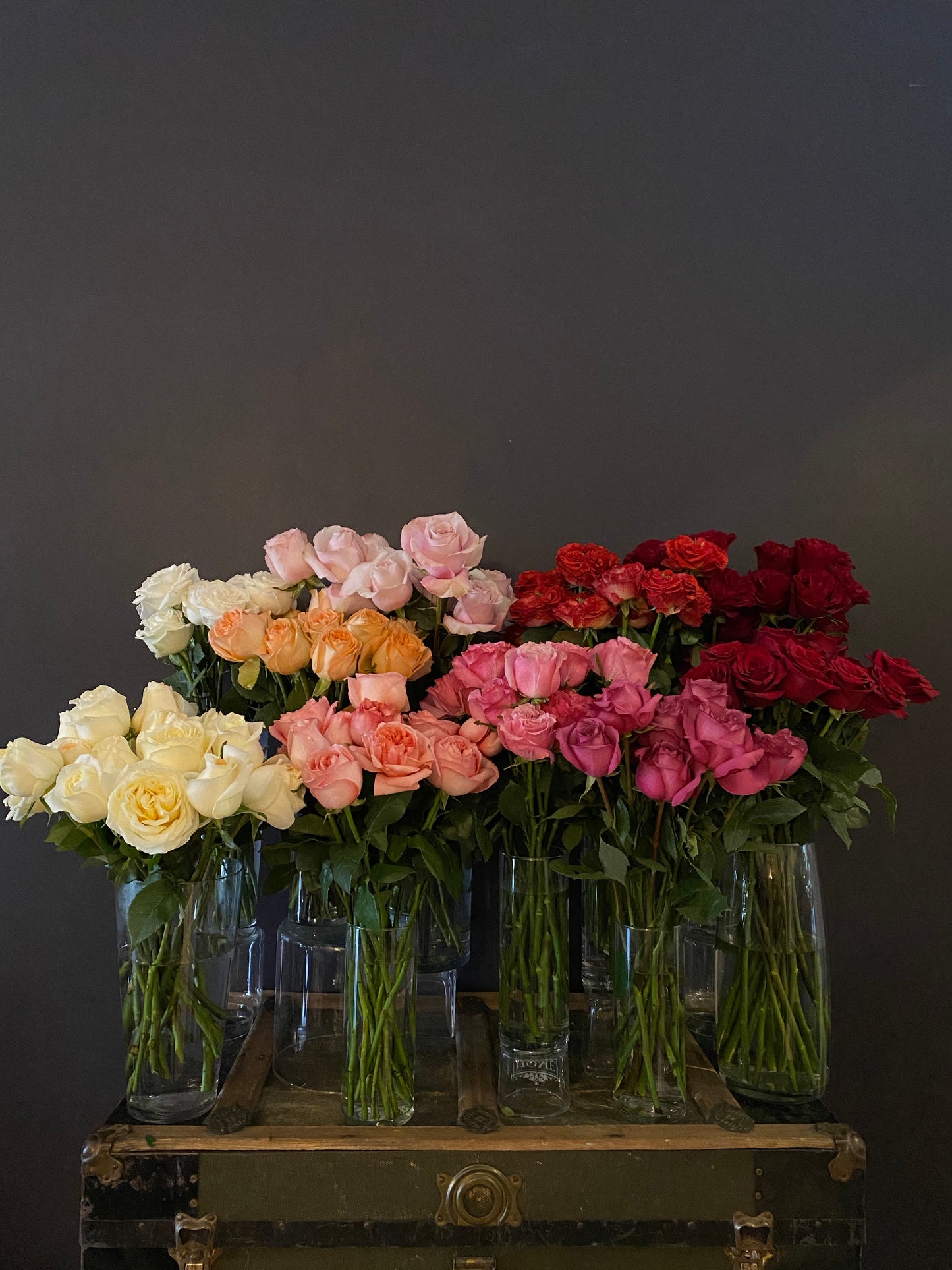 Kahala Roses