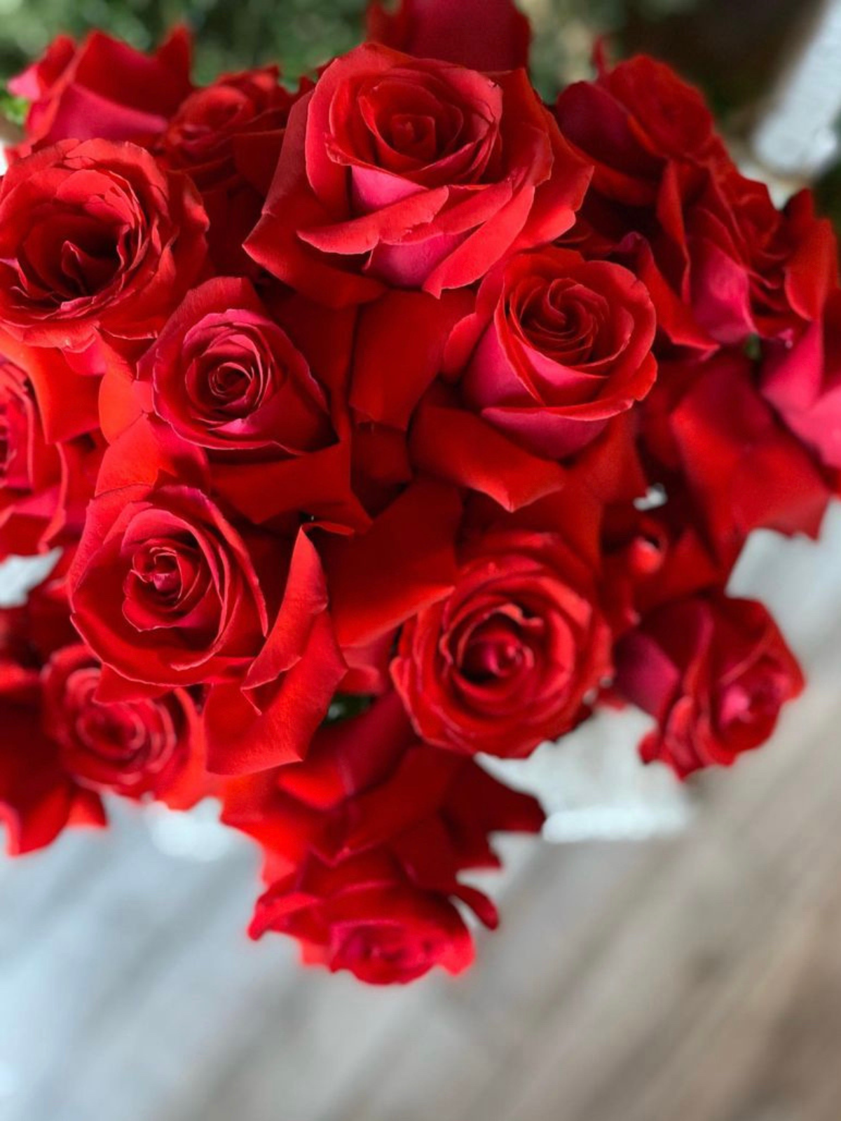 Nina Roses